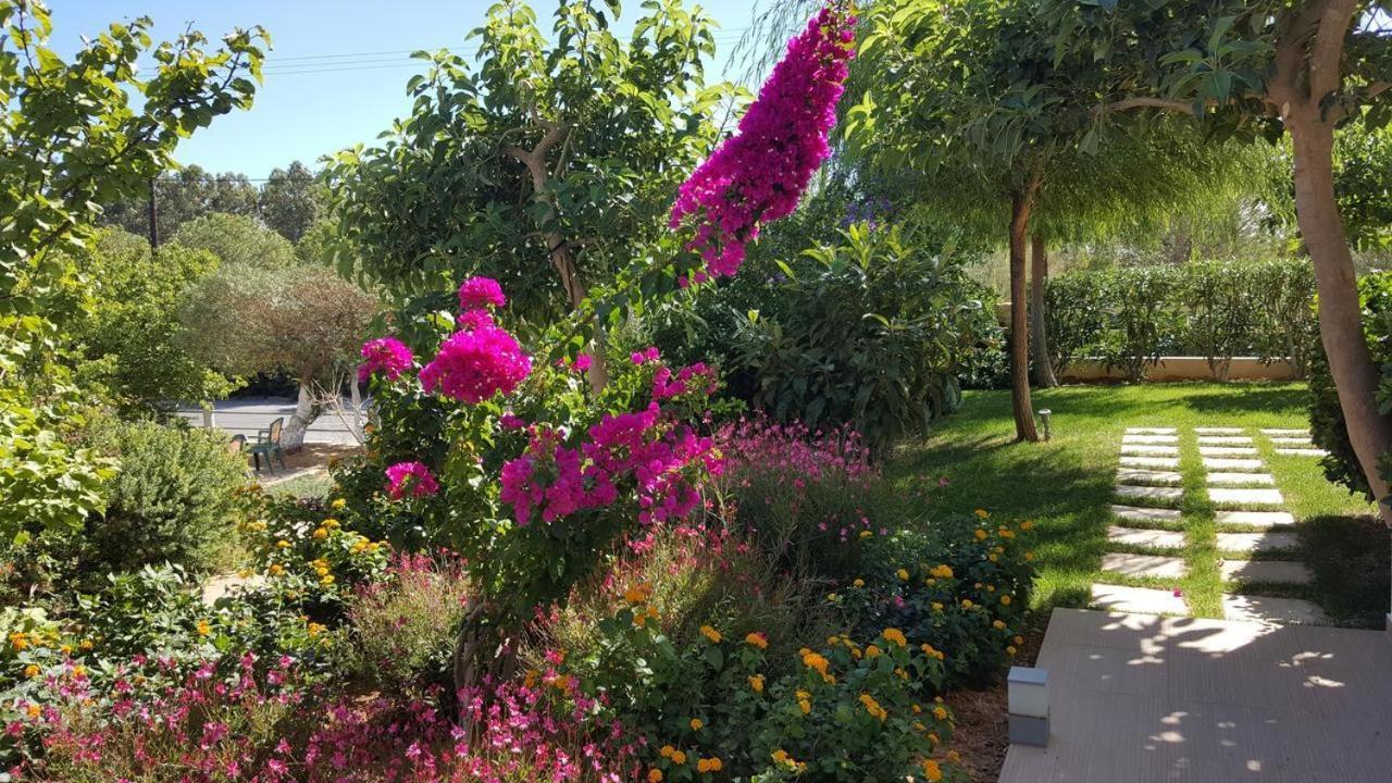 Mear Holiday Homes - Cretan Summer Getaways Kountoura Selino Exterior photo
